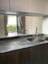 Leedon Green (D10), Condominium #559871701